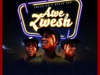 Zwesh SA & Busta 929 - Awe Zwesh Ft. Sizwe Alakine, Percy V & Whistle God