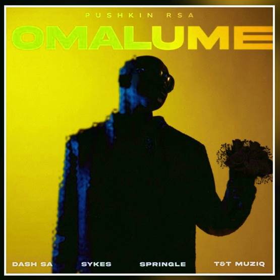 Pushkin RSA - Omalume Ft. Sykes, Dash SA, Springle, Supremme & T&TMusiq