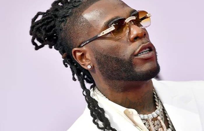 Burna Boy Biography: African Giant Who Conquered Global Music