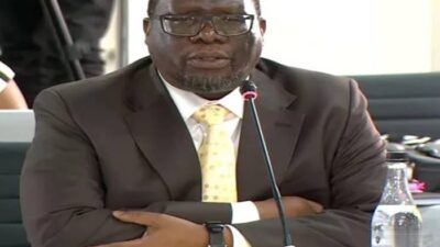 Ramaphosa Objects to Thandazani Madonsela's Appointment as Impeachment Evidence Leader